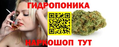 сатива Славгород