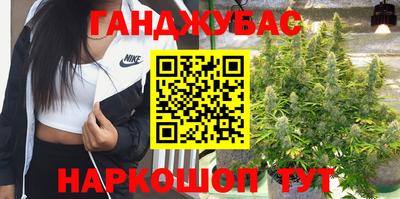 МДПВ Сланцы