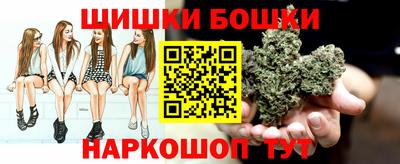 сатива Славгород