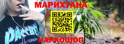 сатива Славгород