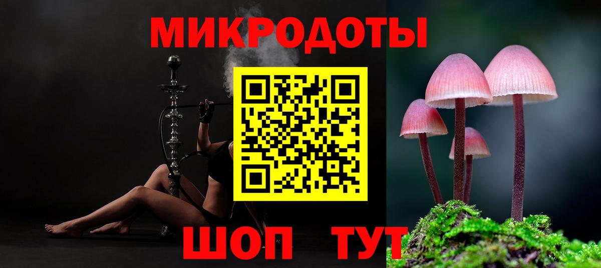 Галлюциногенные грибы Psilocybine cubensis Нефтекумск
